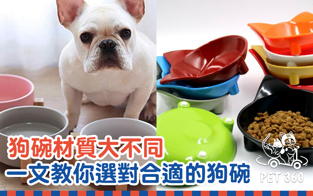 狗碗材質大不同 一文教你選對合適的狗碗