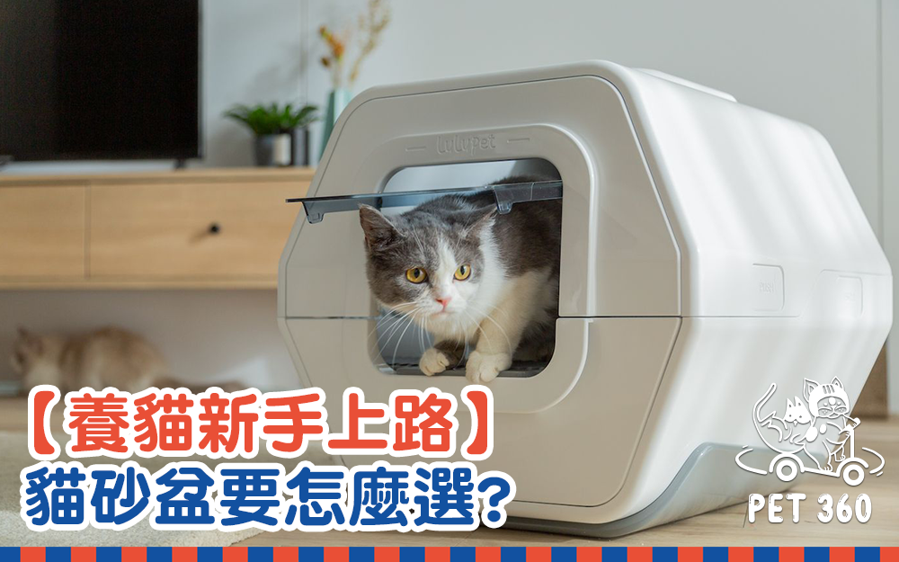 【養貓新手上路】貓砂盆要怎麼選？